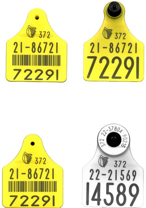 rfid tag for cattle|allflex rfid tags for cattle.